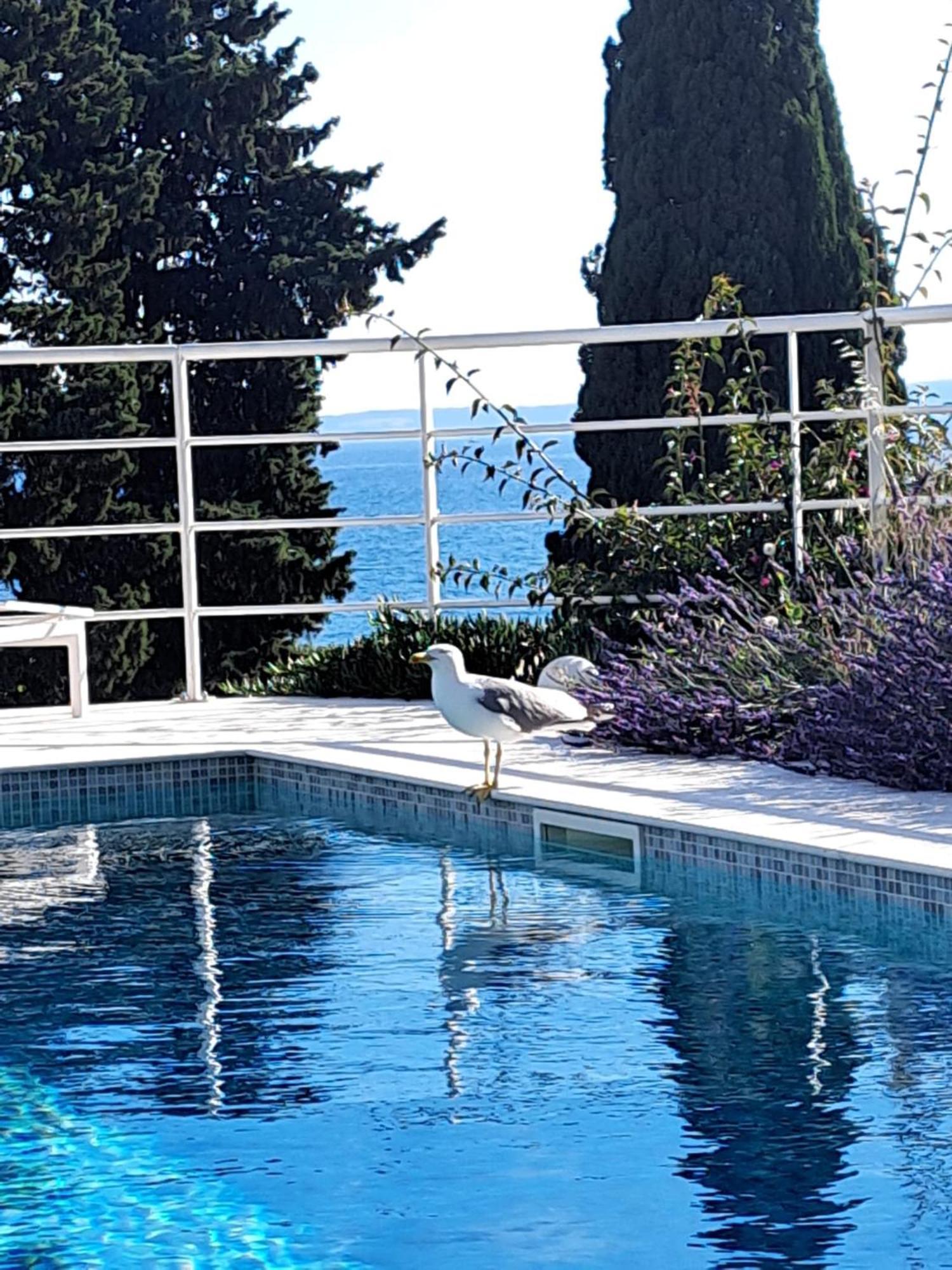 Apartment With Private Pool Split Bagian luar foto